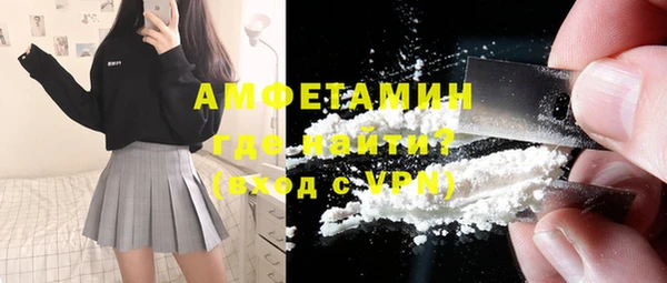прущие грибы Богданович