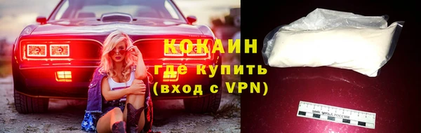 прущие грибы Богданович