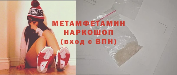 прущие грибы Богданович