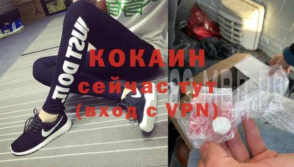 прущие грибы Богданович