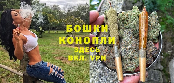 твердый Богородицк