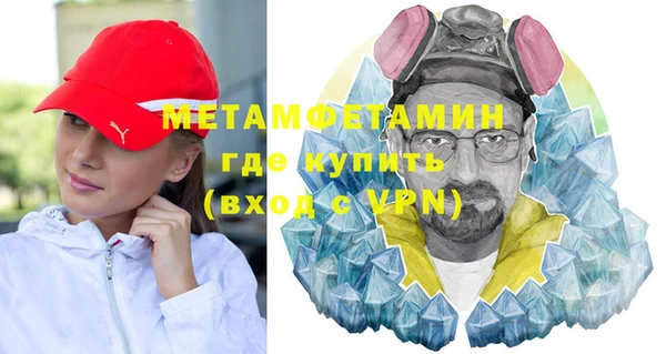 прущие грибы Богданович