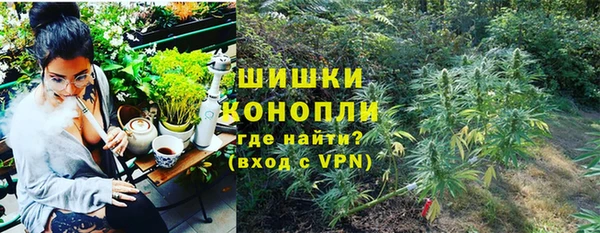 прущие грибы Богданович