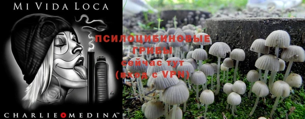 прущая мука Богородск