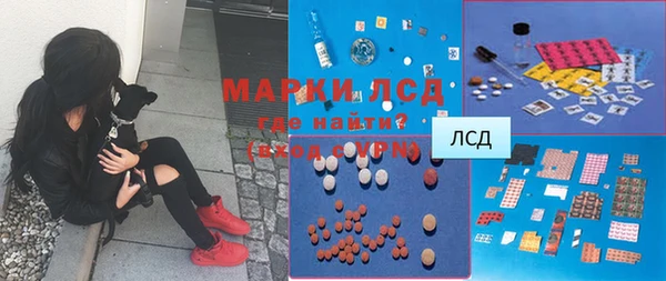 прущие грибы Богданович