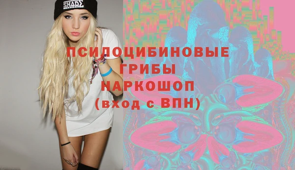 прущие грибы Богданович