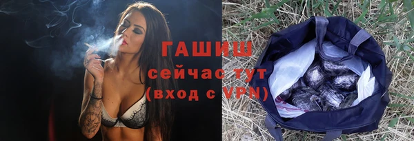 прущие грибы Богданович